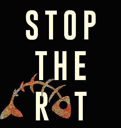 stop-the-rot-web-294149-800x600